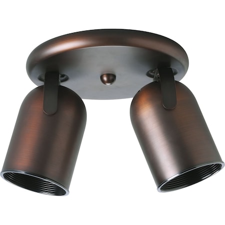 PROGRESS LIGHTING Two-Light Multi Directional Roundback Wall/Ceiling Fixture P6149-174